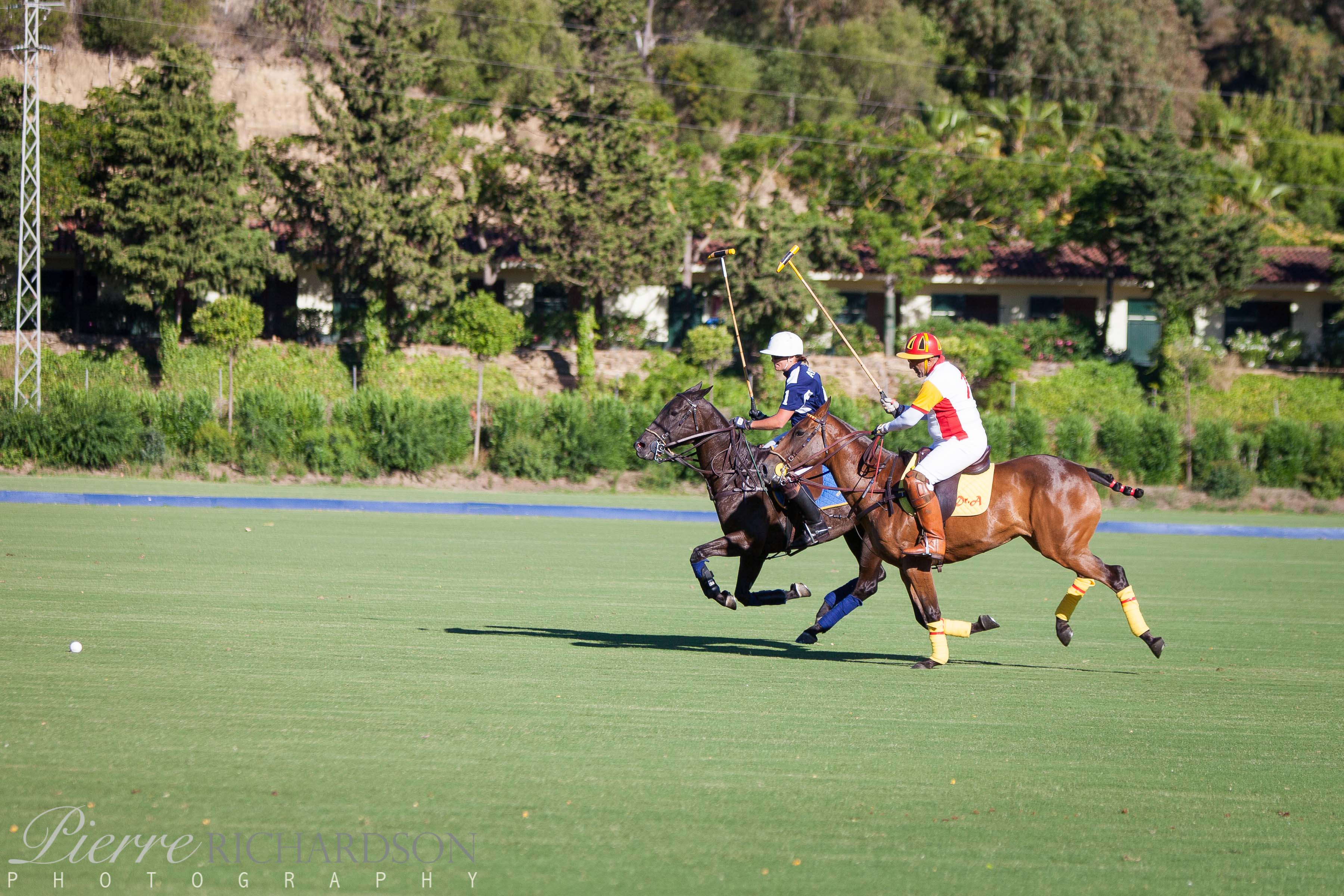 Competitive Polo in Seville - POLO+10