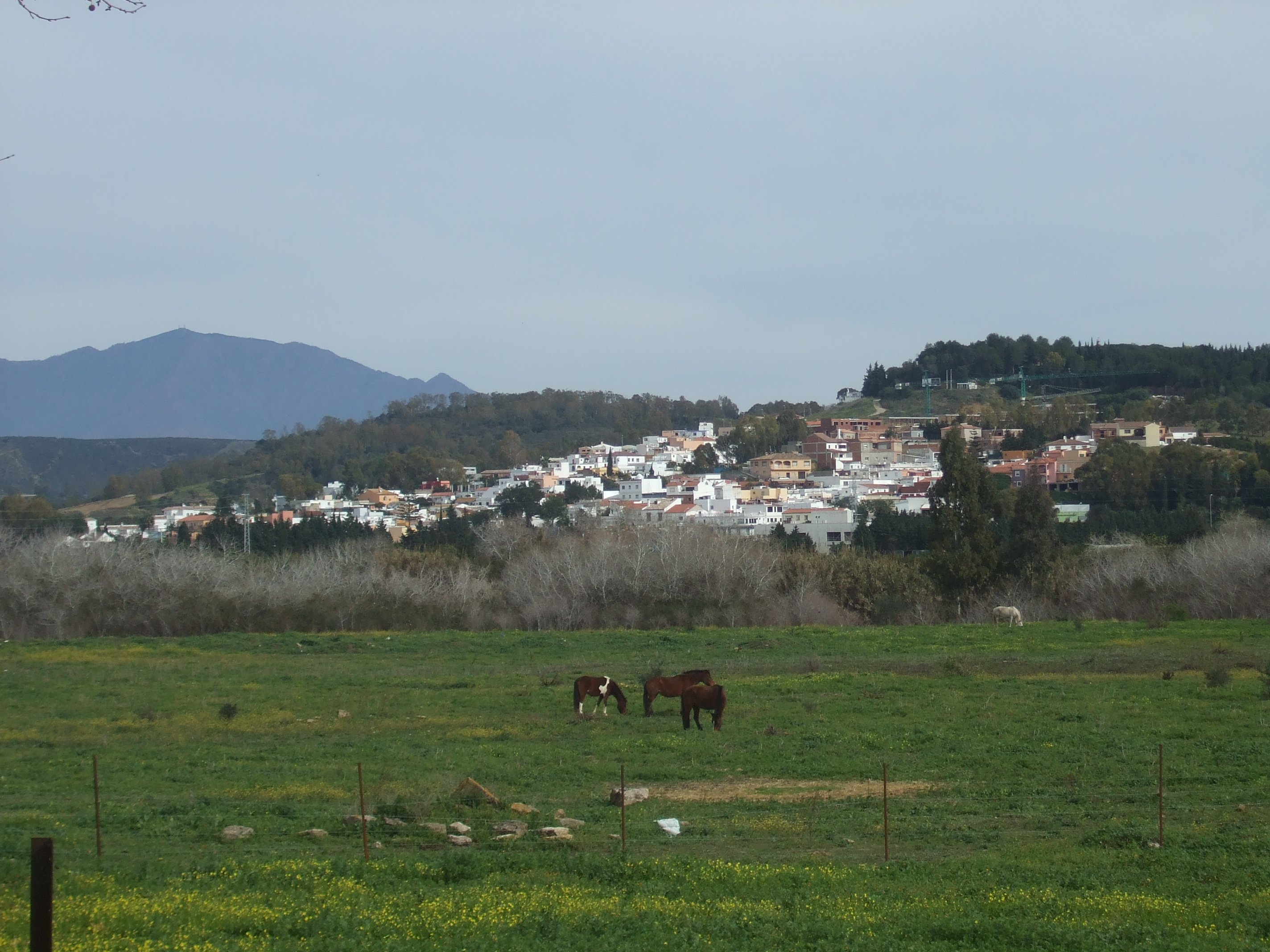 San Enrique de Guadiaro