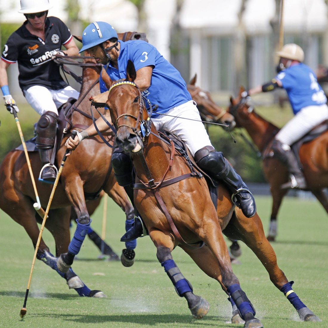 Santa Maria Polo Club Sport Center in Sotogrande